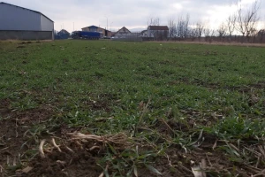 Azot neophodan za prihranu: Oprezno sa količinama