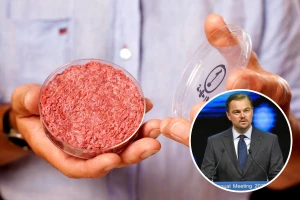 Leonardo Di Kaprio ulaže u proizvodnju mesa iz laboratorije