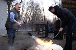 Viktor Orban na svinjokolju skuplja bodove za izbore?