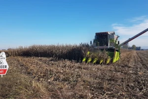 Pioneer P0943 brzo otpušta vlagu bez dodatnog sušenja - odličan izbor u Podrinju