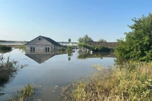 Posle poplave - pustinja, globalna nesigurnost i visoke cene hrane