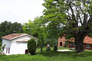 Četiri stanovnika čuvaju od nestajanja selo u Sićevačkoj klisuri