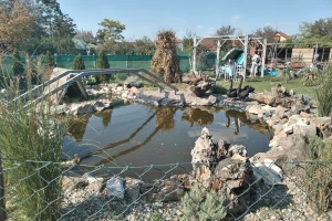 Domaćim životinjama u Silbašu društvo prave crni labudovi, valabi, piton i agama