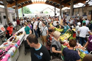 "Dani maline i meda" Žepče 2019 - očekuje se veliki broj gostiju i izlagača