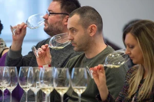 Šesti Salon vina Kragujevac odložen za 20. jun