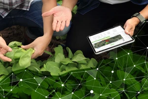 Zašto digitalizovati poljoprivrednu proizvodnju?
