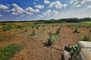 Površine pod organskom poljoprivredom u EU porasle za 34% od 2012. godine