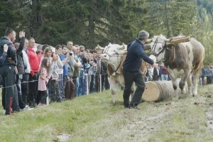 Rabadžijski je hleb sa sedam kora, ali se jede s ljubavlju