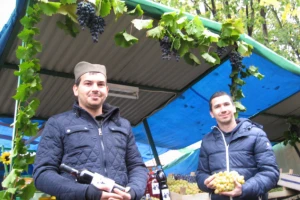 Master studenti gaje voće i prave vino