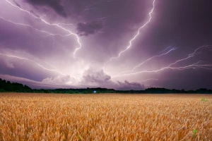 Evo pet pravila kojih morate da se držati ako vas uhvati oluja na polju