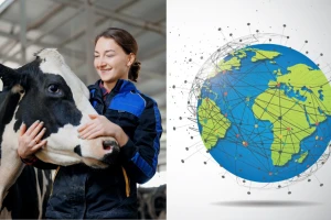 Globalna slika govedarstva: Od praistorije do savremenih izazova