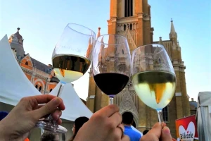 Novosadski festival vina Interfest sa novim terminom - od 9. do 11. jula