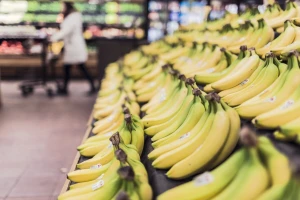Uvezli rekordnu količinu banana u 2019. godini