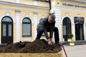Gaji krompir u obliku portreta Van Goga!