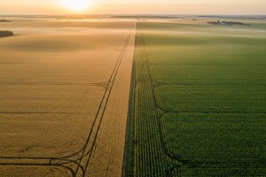 Bayer priprema novu ponudu za Monsanto