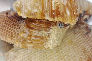 15. Međunarodni sajam pčelarstva "Bee-fest"