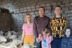 Bela metohijska ovca isplativa za Stankoviće - povećavaju stado na 50