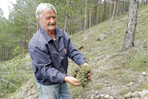 Edukacije za berače, otkupne stanice i potencijalni izvoz lekovitog bilja?