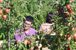 Novom Zelandu nedostaje dve hiljade sezonaca