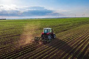 Oglas za preko 3.500 ha somborskih državnih oranica u zakup