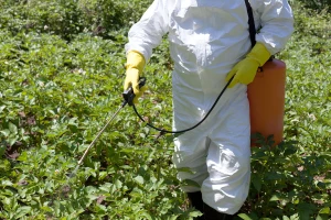 Europol: Zaplenjeni ilegalni pesticidi u vrednosti 80 miliona evra