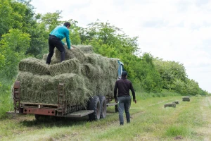 Za poljoprivredu opština Negotin izdvojila 20 miliona dinara
