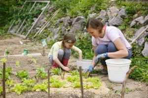 Valjevske subvencije - najviše opredeljeno za mlade i nabavku mehanizacije