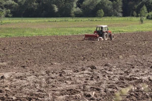 Kako do pravih efekata mineralnih đubriva na prinos i kvallitet roda