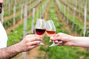 Ministarstvo poljoprivrede: Upišite se u Vinarski i Vinogradarski registar