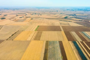 Zakup skoro 1.700 ha državnog poljoprivrednog zemljišta u Baču - drugi krug