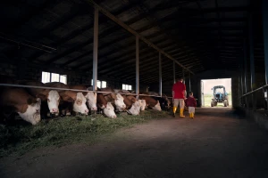 Dok stočari čekaju subvencije da krenu u prolećne radove - predmet je i dalje "u obradi"