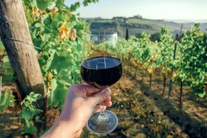 Porodične vinarije: Jedinstvenim načinom proizvodnje do sigurne egzistencije
