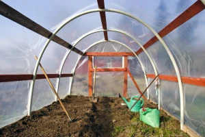 Za podizanje plastenika od Pokrajine 80 miliona dinara