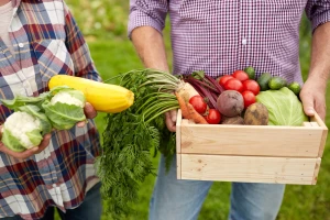 Da li Srbija treba da dozvoli proizvodnju i promet GMO?