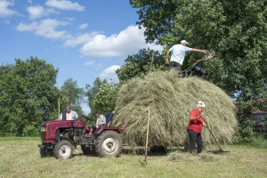 Moba u požeškom selu - starim običajima do boljeg života