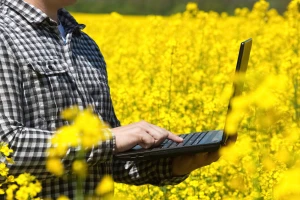 Prodaja krijumčarenih sredstava za zaštitu bilja i preko društvenih mreža
