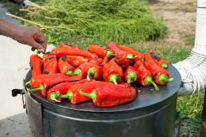 Paprika se uveliko peče za ajvar - znate li pravi recept?