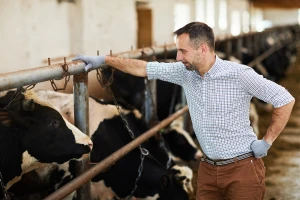 Za stručnjake jednokratna novčana pomoć imala je socijalnu ulogu