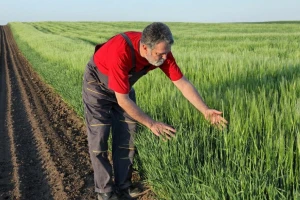 Mikotoksini - Uzrok bolesti kod ljudi i životinja