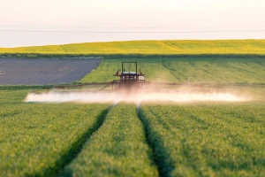 Izum koji može da smanji upotrebu pesticida - razlikuje štetne insekte od korisnih