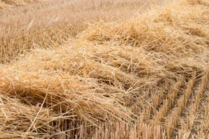 Platforma za trgovinu biomasom