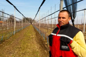 Boško Filipović: Proizvodnja jabuka može biti unosan posao