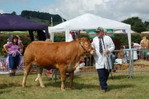 Brecon County sajam u engleskom Vatonu