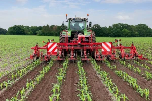 Steketee EC-Weeder za mehaničko suzbijanje korova u kukuruzu