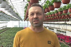 Šta kažu cvećari - koje cveće se najviše prodaje pred Dan žena?
