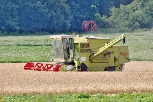 Posejao ječam na državnoj zemlji, lokalna samouprava skinula rod