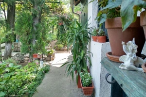 Ako imate najlepšu baštu, to niste vi - to su kurkućice?