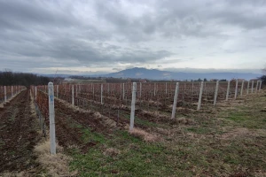Dan sretanja zime i leta: Pogled u nebo i zapaljena sveća