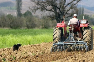 Istraživanje pokazalo - Radnici u poljoprivredi i prehrambenoj industriji najveće žrtve COVIDa-19