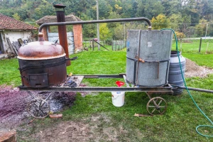 Iz "vesele mašine" potekla tradicionalna šljivovica